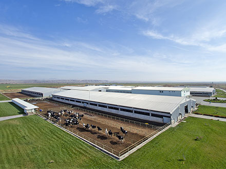 Deeply cultivating the field of animal husbandry equipment: Shandong Hongmu Machinery empowers modern agriculture with a 