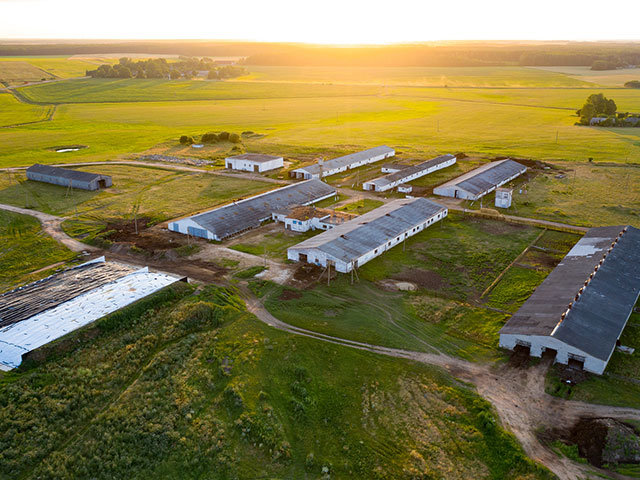 Livestock Engineering EPC General Contracting Service